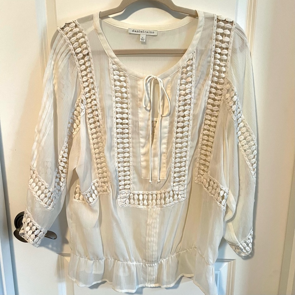 Beautiful Lace Embroidered Daniel Rainn Floaty Sheer top peasant blouse in Ivory